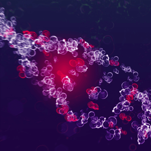 Autoimmune system visualization