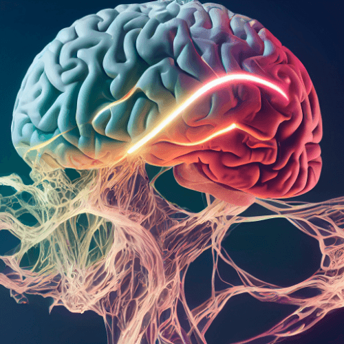 Neurological system visualization